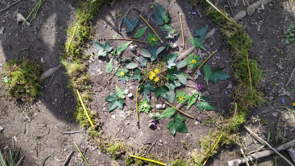 Ein Bild aus Blättern und Blüten und Moss auf der Erde